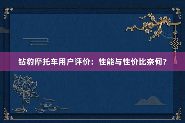 钻豹摩托车用户评价：性能与性价比奈何？