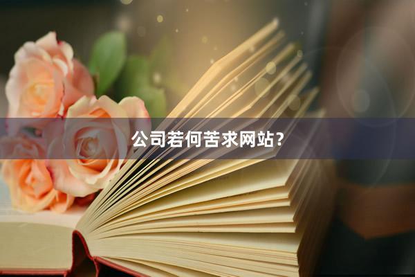 公司若何苦求网站？