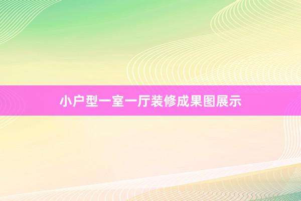 小户型一室一厅装修成果图展示