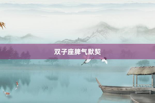 双子座脾气默契